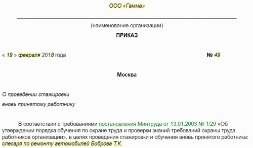 Приказ о стажировке образец 2024